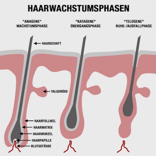 Wunderschne Haarausfall Nach Absetzen Der Pille Bild