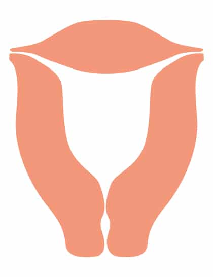 Gebärmutter-breit