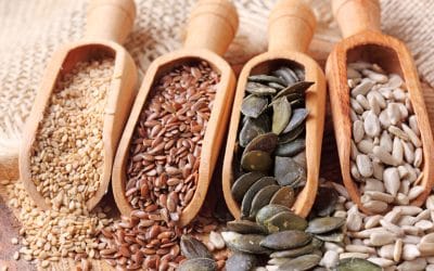 Seed Cycling – kleine Samen für ein Hormongleichgewicht