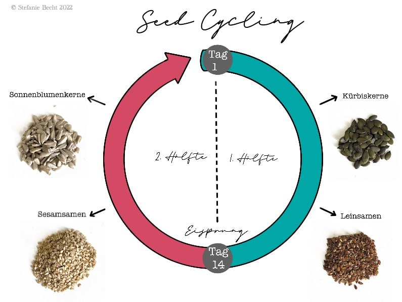 Seed Cycling - kleine Samen für ein Hormongleichgewicht 1