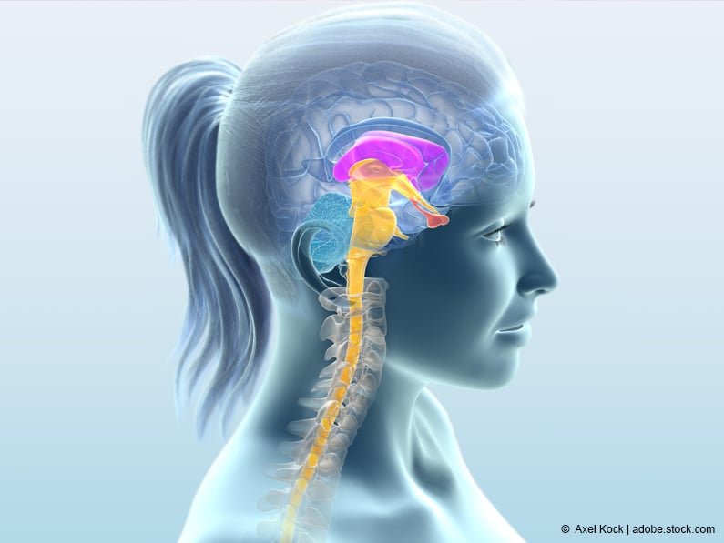 Die Hypophyse - Schaltzentrale im Gehirn: Wie 9 Hormone deinen Körper am Laufen halten 6